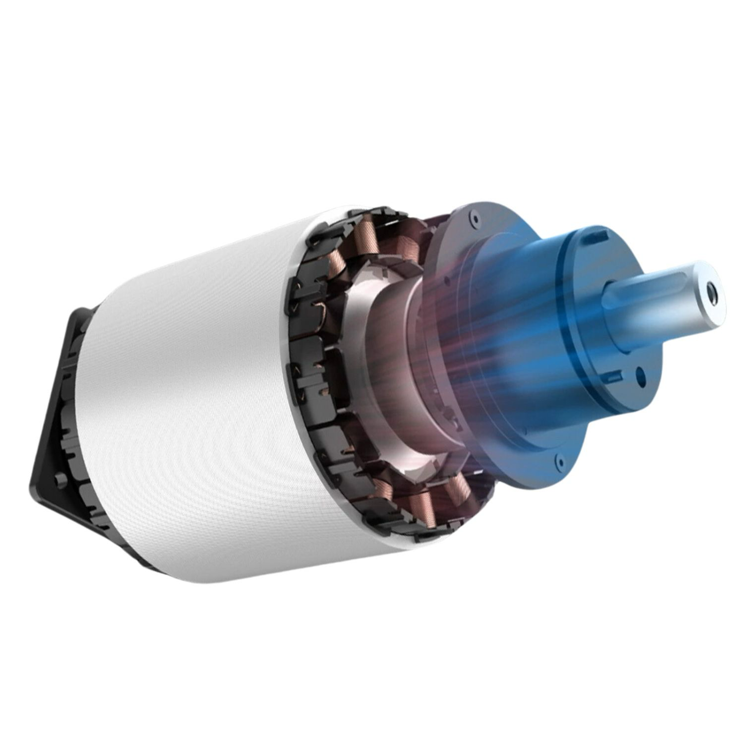 50Nm sectional kit